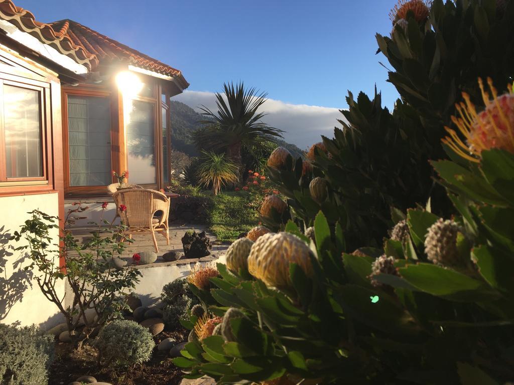 Finca Madrugada Santa Cruz de la Palma (Isla de la Palma) Exterior foto